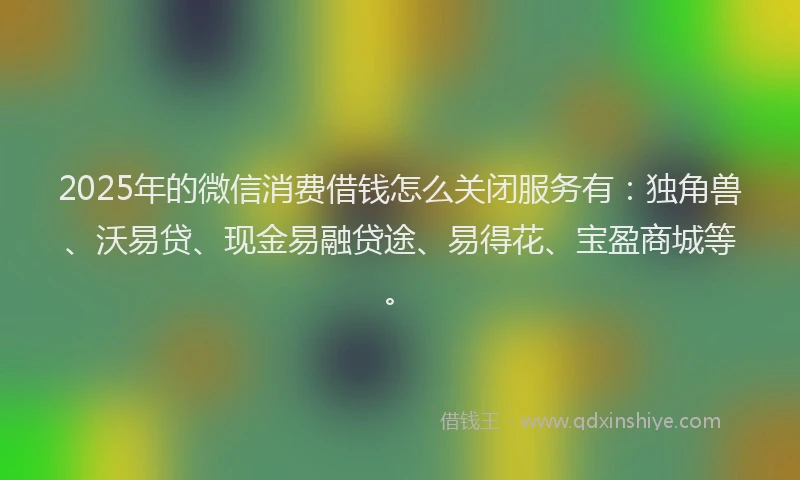 2025年的微信消费借钱怎么关闭服务有：独角兽、沃易贷、现金易融贷途、易得花、宝盈商城等。