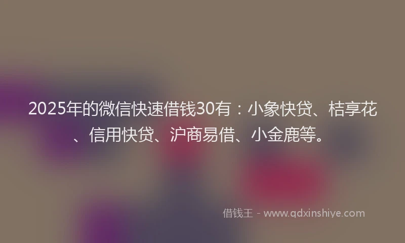 2025年的微信快速借钱30有：小象快贷、桔享花、信用快贷、沪商易借、小金鹿等。