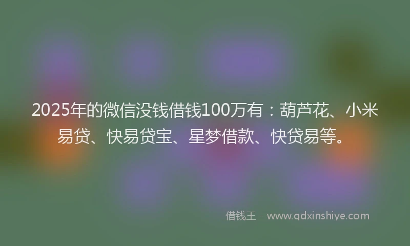2025年的微信没钱借钱100万有：葫芦花、小米易贷、快易贷宝、星梦借款、快贷易等。