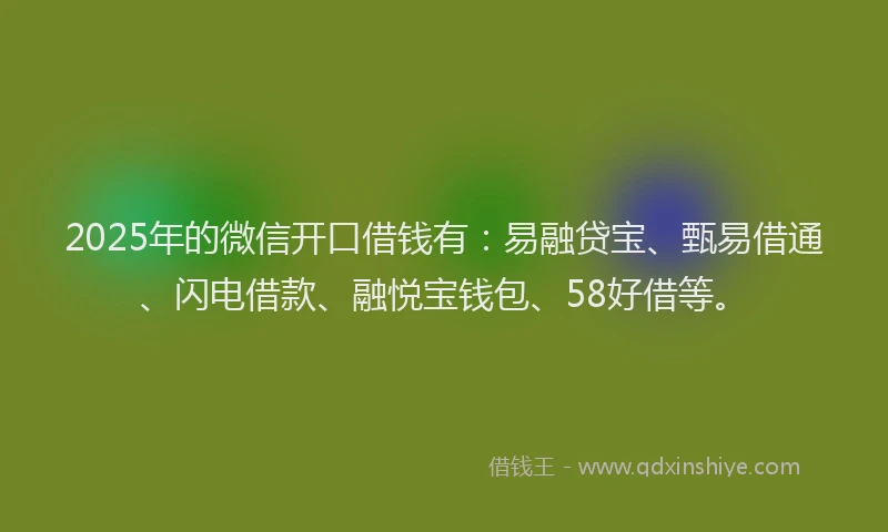 2025年的微信开口借钱有：易融贷宝、甄易借通、闪电借款、融悦宝钱包、58好借等。