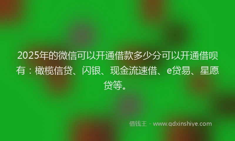 2025年的微信可以开通借款多少分可以开通借呗有：橄榄信贷、闪银、现金流速借、e贷易、星愿贷等。
