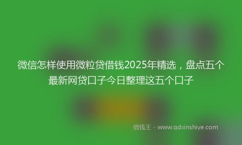 微信怎样使用微粒贷借钱2025年精选，盘点五个最新网贷口子今日整理这五个口子