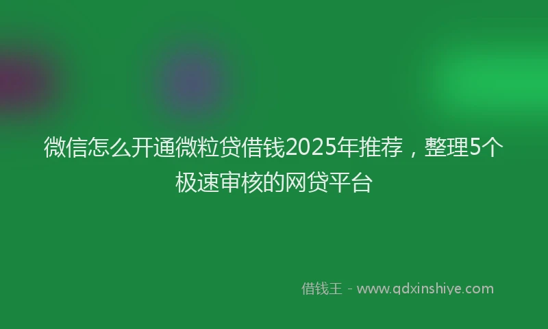 微信怎么开通微粒贷借钱2025年推荐，整理5个极速审核的网贷平台