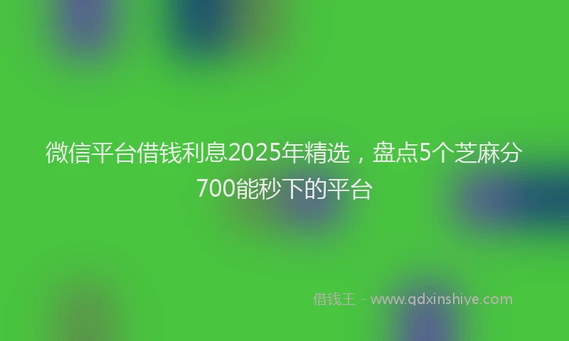 微信平台借钱利息2025年精选，盘点5个芝麻分700能秒下的平台