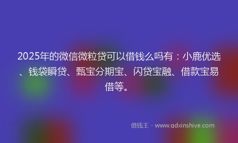 2025年的微信微粒贷可以借钱么吗有：小鹿优选、钱袋瞬贷、甄宝分期宝、闪贷宝融、借款宝易借等。