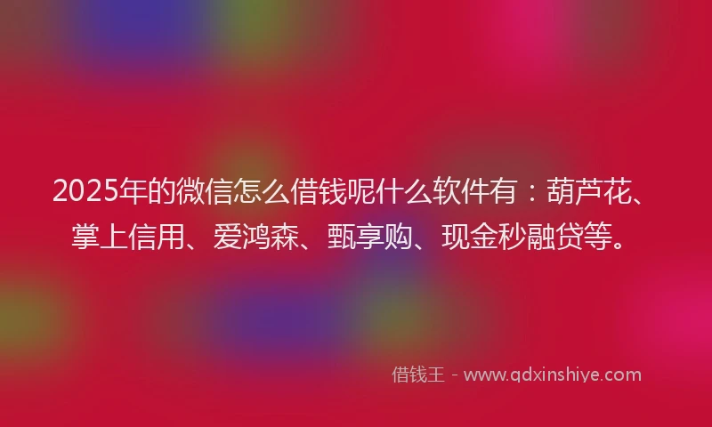 2025年的微信怎么借钱呢什么软件有：葫芦花、掌上信用、爱鸿森、甄享购、现金秒融贷等。