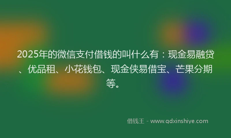 2025年的微信支付借钱的叫什么有：现金易融贷、优品租、小花钱包、现金侠易借宝、芒果分期等。