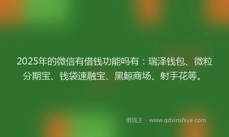 2025年的微信有借钱功能吗有：瑞泽钱包、微粒分期宝、钱袋速融宝、黑鲸商场、射手花等。