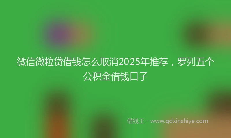 微信微粒贷借钱怎么取消2025年推荐，罗列五个公积金借钱口子