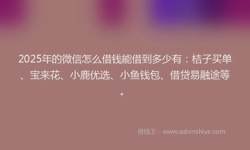 2025年的微信怎么借钱能借到多少有：桔子买单、宝来花、小鹿优选、小鱼钱包、借贷易融途等。