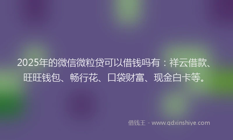 2025年的微信微粒贷可以借钱吗有：祥云借款、旺旺钱包、畅行花、口袋财富、现金白卡等。