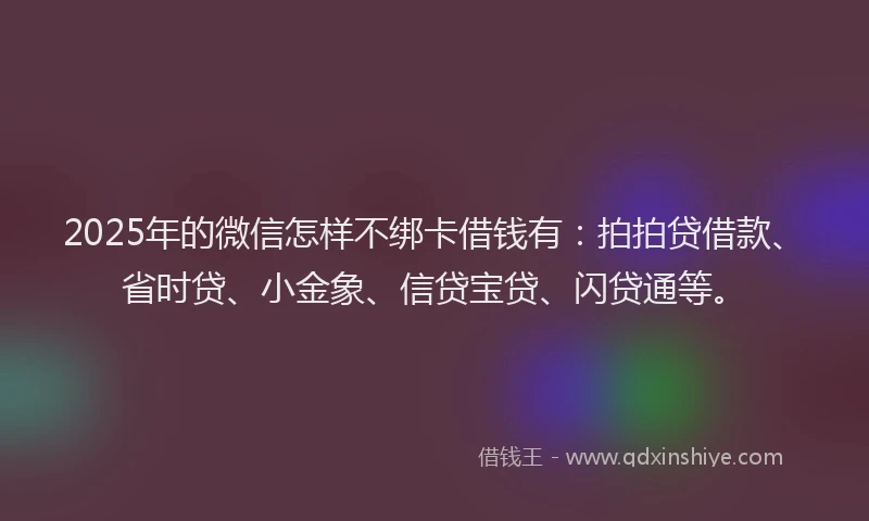 2025年的微信怎样不绑卡借钱有：拍拍贷借款、省时贷、小金象、信贷宝贷、闪贷通等。