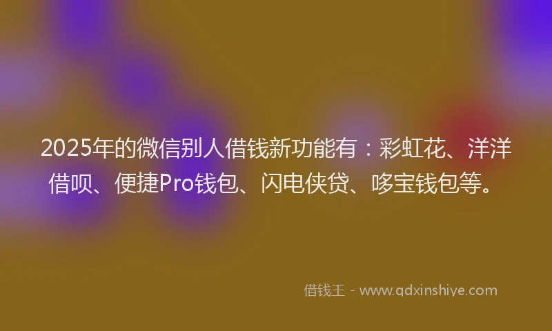 2025年的微信别人借钱新功能有：彩虹花、洋洋借呗、便捷Pro钱包、闪电侠贷、哆宝钱包等。