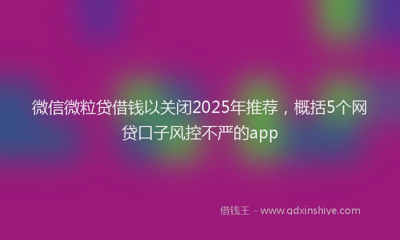 微信微粒贷借钱以关闭2025年推荐，概括5个网贷口子风控不严的app