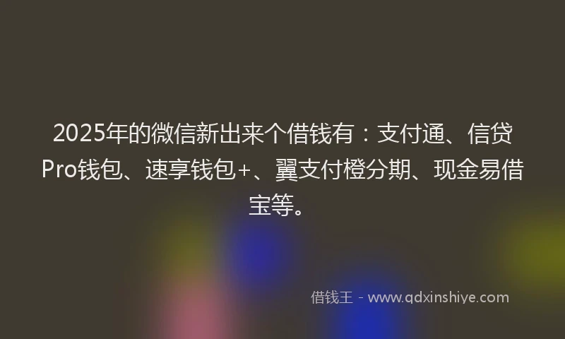 2025年的微信新出来个借钱有：支付通、信贷Pro钱包、速享钱包+、翼支付橙分期、现金易借宝等。