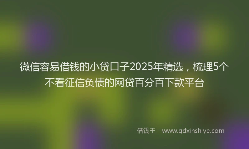 微信容易借钱的小贷口子2025年精选，梳理5个不看征信负债的网贷百分百下款平台