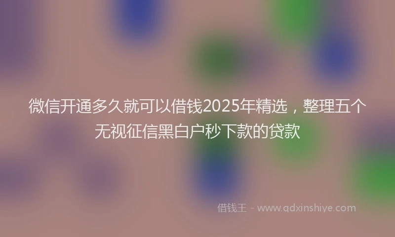 微信开通多久就可以借钱2025年精选，整理五个无视征信黑白户秒下款的贷款
