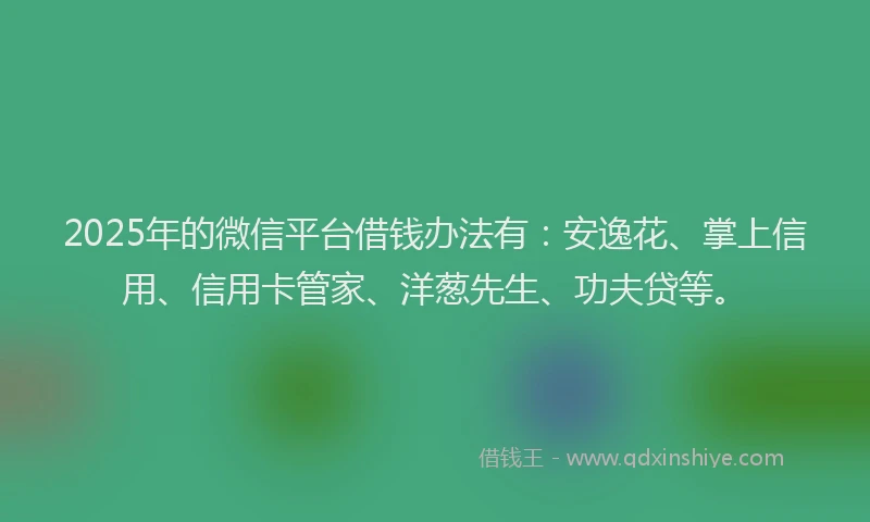 2025年的微信平台借钱办法有：安逸花、掌上信用、信用卡管家、洋葱先生、功夫贷等。