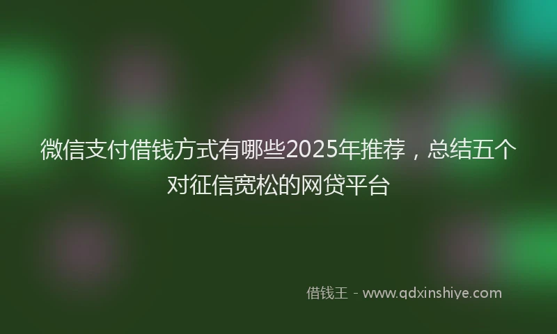 微信支付借钱方式有哪些2025年推荐，总结五个对征信宽松的网贷平台
