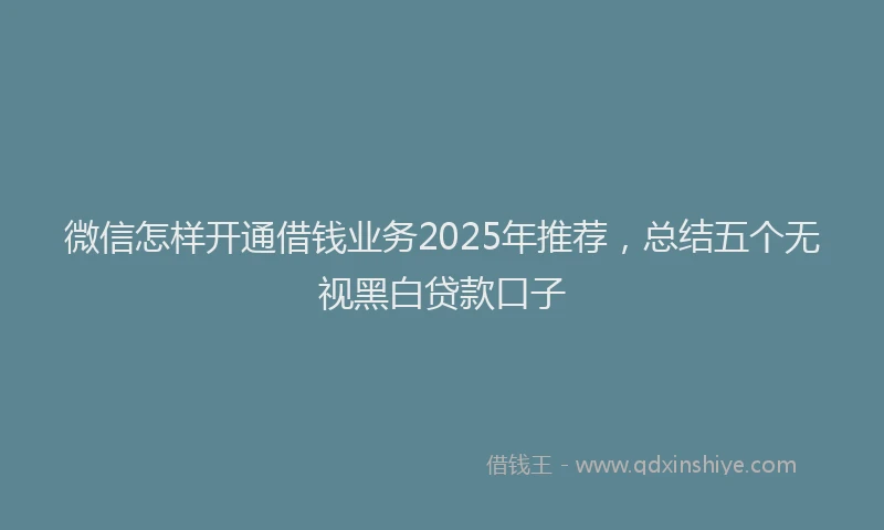 微信怎样开通借钱业务2025年推荐，总结五个无视黑白贷款口子