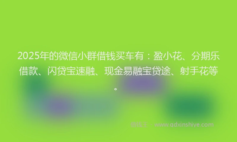 2025年的微信小群借钱买车有：盈小花、分期乐借款、闪贷宝速融、现金易融宝贷途、射手花等。