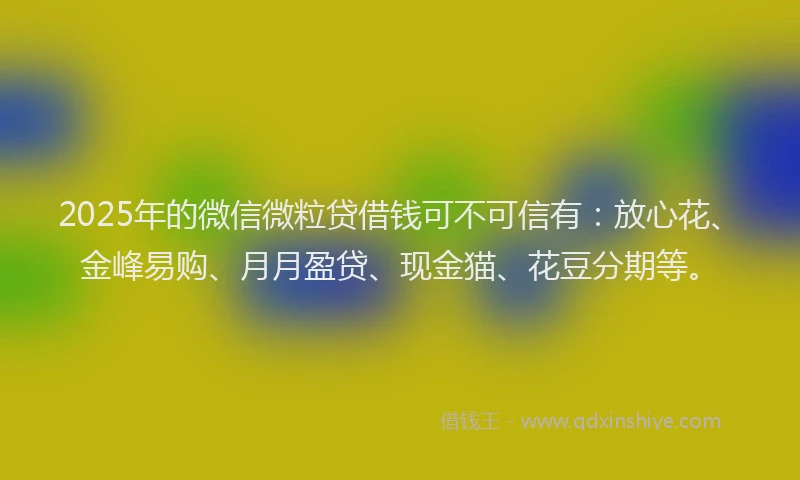 2025年的微信微粒贷借钱可不可信有：放心花、金峰易购、月月盈贷、现金猫、花豆分期等。