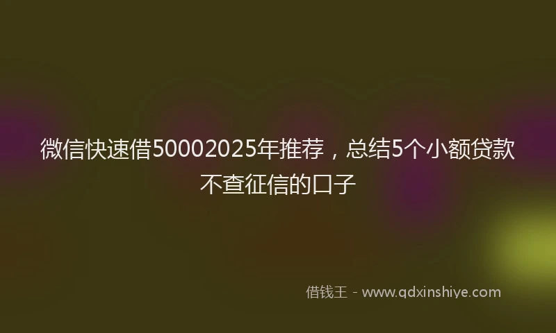 微信快速借50002025年推荐，总结5个小额贷款不查征信的口子