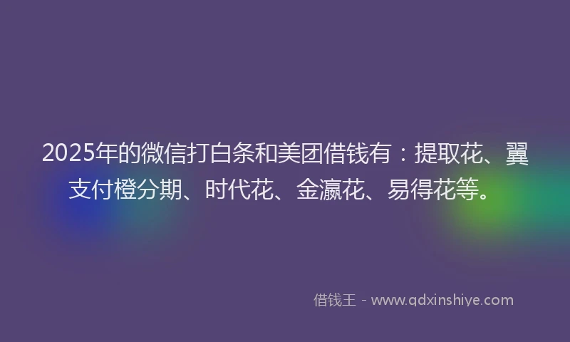 2025年的微信打白条和美团借钱有：提取花、翼支付橙分期、时代花、金瀛花、易得花等。