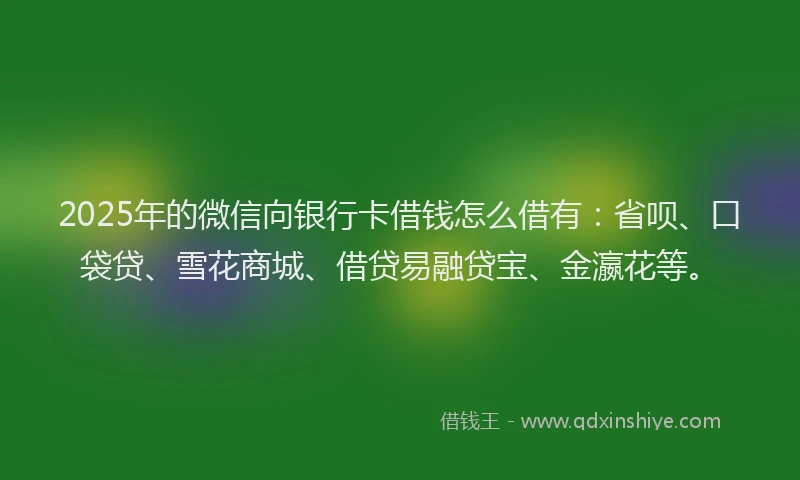 2025年的微信向银行卡借钱怎么借有：省呗、口袋贷、雪花商城、借贷易融贷宝、金瀛花等。