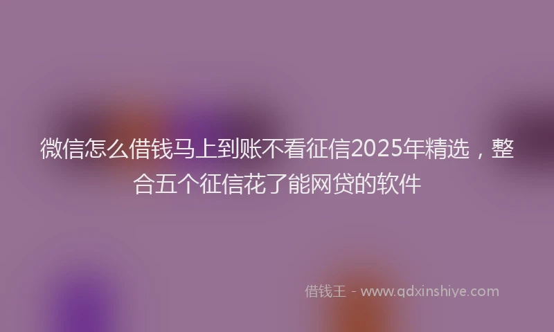 微信怎么借钱马上到账不看征信2025年精选，整合五个征信花了能网贷的软件