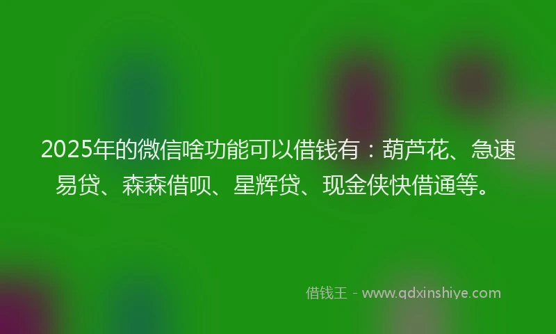 2025年的微信啥功能可以借钱有：葫芦花、急速易贷、森森借呗、星辉贷、现金侠快借通等。
