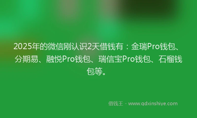2025年的微信刚认识2天借钱有：金瑞Pro钱包、分期易、融悦Pro钱包、瑞信宝Pro钱包、石榴钱包等。