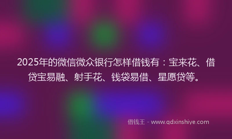 2025年的微信微众银行怎样借钱有：宝来花、借贷宝易融、射手花、钱袋易借、星愿贷等。