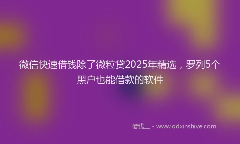 微信快速借钱除了微粒贷2025年精选，罗列5个黑户也能借款的软件