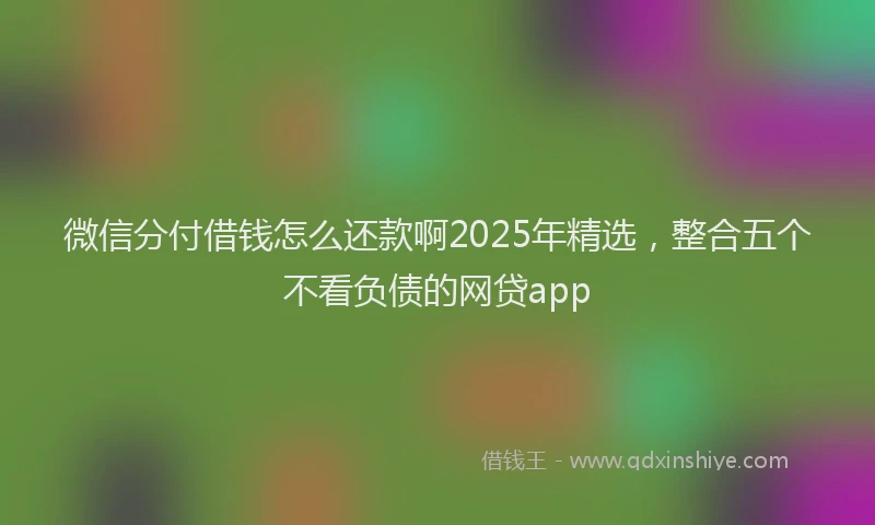 微信分付借钱怎么还款啊2025年精选，整合五个不看负债的网贷app