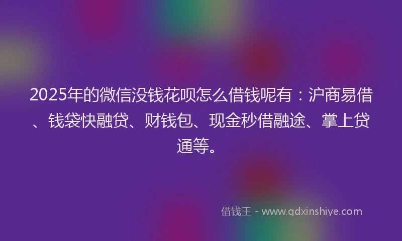 2025年的微信没钱花呗怎么借钱呢有：沪商易借、钱袋快融贷、财钱包、现金秒借融途、掌上贷通等。