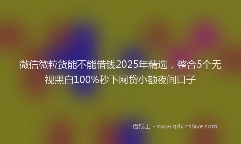 微信微粒货能不能借钱2025年精选，整合5个无视黑白100%秒下网贷小额夜间口子
