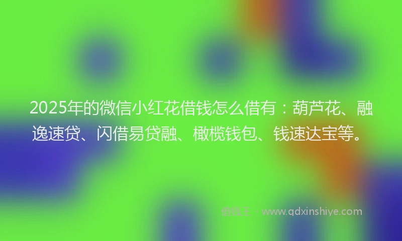 2025年的微信小红花借钱怎么借有：葫芦花、融逸速贷、闪借易贷融、橄榄钱包、钱速达宝等。