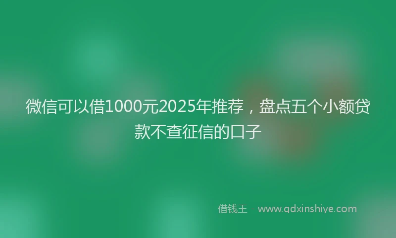 微信可以借1000元2025年推荐，盘点五个小额贷款不查征信的口子