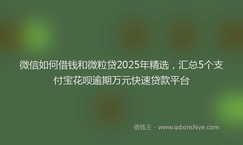 微信如何借钱和微粒贷2025年精选，汇总5个支付宝花呗逾期万元快速贷款平台