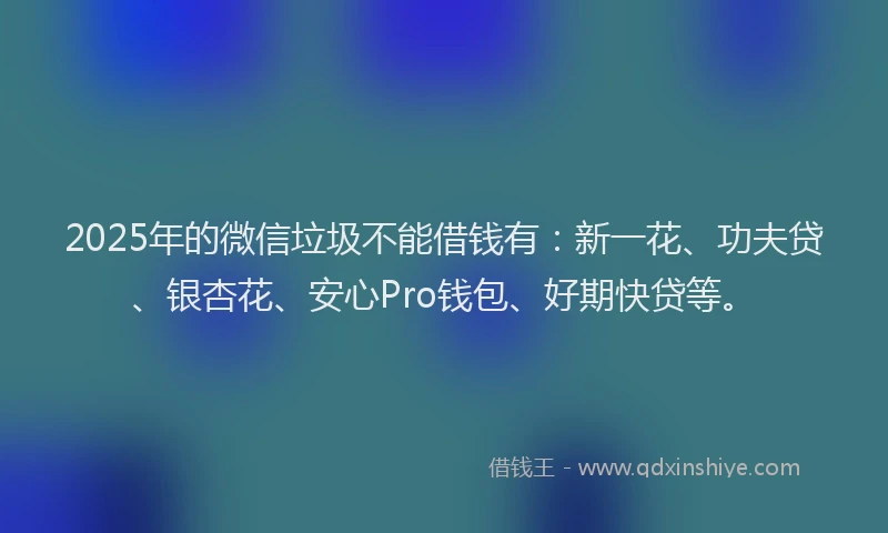 2025年的微信垃圾不能借钱有：新一花、功夫贷、银杏花、安心Pro钱包、好期快贷等。