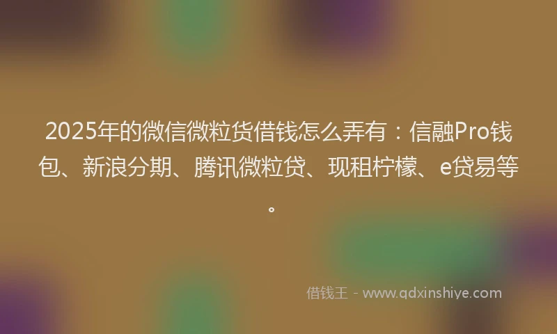 2025年的微信微粒货借钱怎么弄有：信融Pro钱包、新浪分期、腾讯微粒贷、现租柠檬、e贷易等。