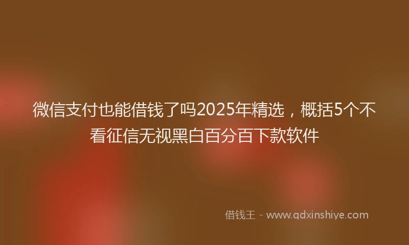 微信支付也能借钱了吗2025年精选，概括5个不看征信无视黑白百分百下款软件