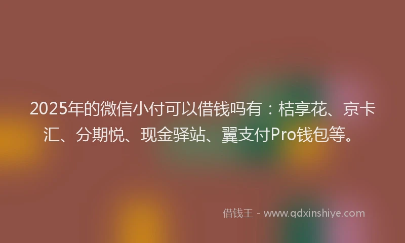 2025年的微信小付可以借钱吗有：桔享花、京卡汇、分期悦、现金驿站、翼支付Pro钱包等。