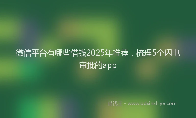 微信平台有哪些借钱2025年推荐，梳理5个闪电审批的app
