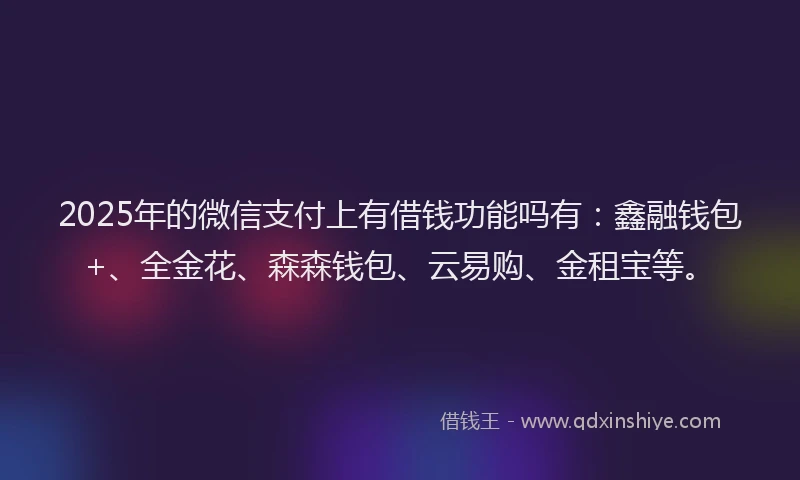 2025年的微信支付上有借钱功能吗有：鑫融钱包+、全金花、森森钱包、云易购、金租宝等。