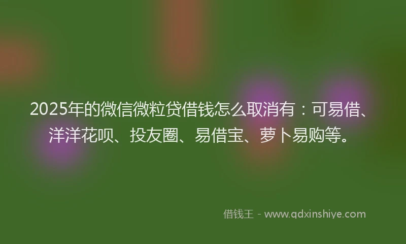 2025年的微信微粒贷借钱怎么取消有：可易借、洋洋花呗、投友圈、易借宝、萝卜易购等。