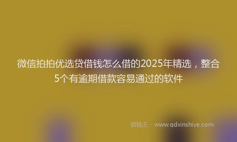 微信拍拍优选贷借钱怎么借的2025年精选，整合5个有逾期借款容易通过的软件