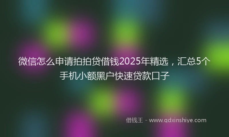微信怎么申请拍拍贷借钱2025年精选，汇总5个手机小额黑户快速贷款口子