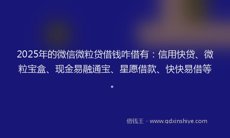 2025年的微信微粒贷借钱咋借有：信用快贷、微粒宝盒、现金易融通宝、星愿借款、快快易借等。